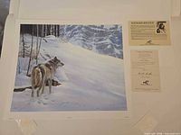 Overall view of unframed print with COA
