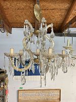 Full view of crystal and brass chandelier with six arms, hanging chain and canopy visible
