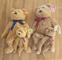 Front view of four Ty bears showing ribbons and hang tags