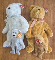 Front view of all four Ty bears showing colors, ribbons, and hang tags