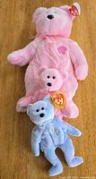 Three Ty plush bears stacked: large and small pink Sakura, pastel Issy