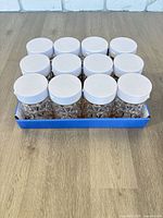 tray with all ten LED lantern jars