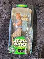 Front view of boxed Luke Skywalker & Yoda set