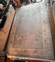 Full view of rug showing overall design, border, and fringe