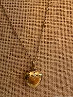 Heart pendant and chain full view on display fabric.