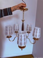 Overall view of 5-light chandelier held at canopy showing brass arms, walnut stem, milk glass shades