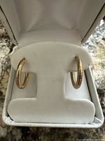 Earrings in presentation box showing overall design