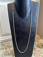 Full view of gold rope chain on display stand
