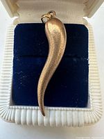 Full view of horn pendant in case