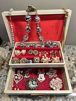 Open jewelry box showing necklaces, earrings, brooches