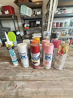 Group shot of 13 items lined on table