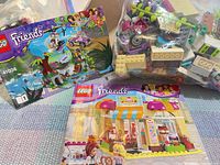 Instruction manuals for sets 41036 and 41006 with bags of loose Lego pieces