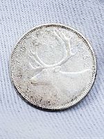 Reverse with caribou and date 1962