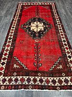 Full view of rug showing entire design and condition