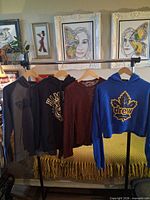 Four sweaters/hoodies hanging on rack showing full fronts