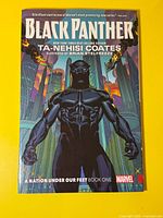 Front cover of Black Panther trade paperback