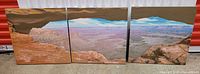 Front view of the three canyon landscape canvas panels displayed side by side