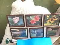 All six framed photographs arranged for overview