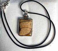 Front view of rectangular picture jasper pendant on black cord