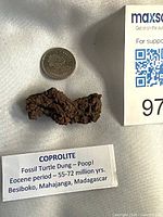 Brown fossil coprolite beside a quarter and label showing details