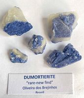 Five blue-white dumortierite quartz pieces on white background with label