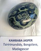 Overhead view of Kambaba jasper palm stone with printed label