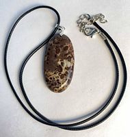 Full view of necklace showing pendant and cord