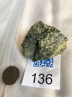 Full view of serpentin­ite specimen next to coin for scale