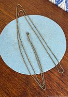 Chain laid out in oval on blue circle showing overall length and rope twist links