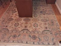 Full view of rug showing central pattern, border and fringe