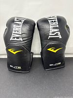 Top view of both gloves showing Everlast and Elite logos