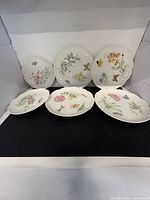 Front view of all six Lenox Butterfly Meadow plates