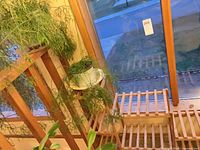Tiered slatted wooden stand beside window with plants visible