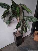 Full view of artificial plant in planter