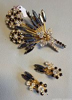 Brooch and earrings together showing overall design