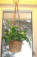 Front view of wicker basket with faux foliage