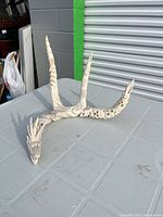 Full view of curved ivory-tone resin dragon sculpture on table