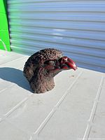 Front three-quarter view showing overall form, color and feather detail