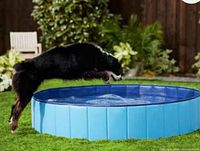stock image of blue dog pool in yard with dog jumping