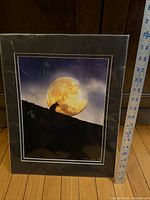 Front view of sealed matted wolf print with ruler for scale