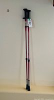 Full view of both telescopic walking poles leaning against wall