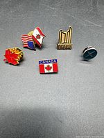 All five pins laid out on grey surface