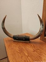 Front view showing full curvature, metal band, and wood base