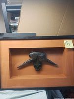 Front view of shadow box showing buffalo head sculpture and frame