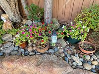 Overall view showing planters, dog statue and solar light arranged among rocks