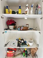 Full view of cabinet showing spray bottles, watering can and additional items on lower shelves