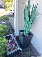 Both planters side by side against exterior wall