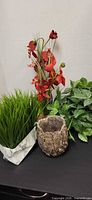 Overall lot showing orchid, grass plant and bark pot