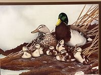 Close-up of image showing mallard family and print detail