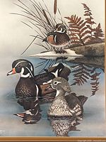 Close view of print showing wood ducks artwork